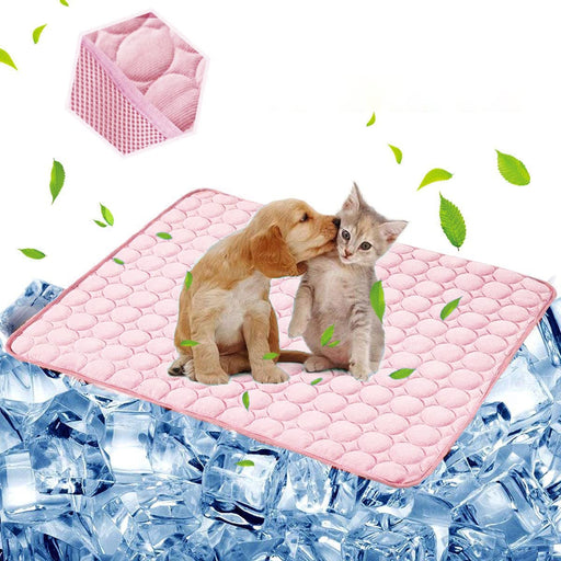 Pink cooling mat with puppy and kitten surrounded by ice cubes and floating green leaves