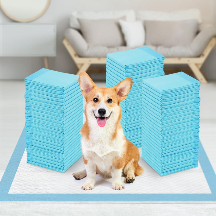 Happy corgi sitting on blue training pee pad surrounded by three tall stacks of blue pads