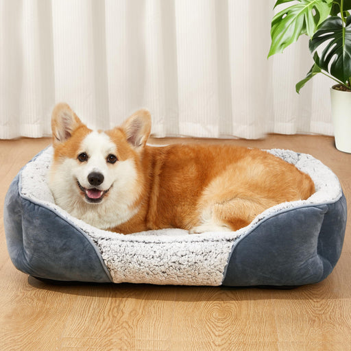 Orange and white Corgi lying in gray and white fluffy rectangular dog bed on wooden floor