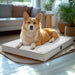 Orange and white corgi lying on white orthopedic dog bed in bright living room setting