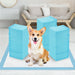 Happy Corgi sitting on blue training pad surrounded by three tall stacks of blue pee pads