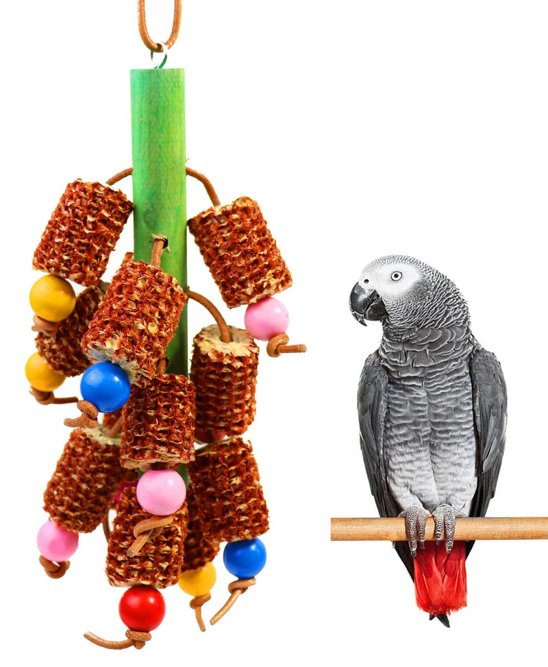 Natural corn cob parrot toy with colorful beads hanging next to African Grey parrot on perch
