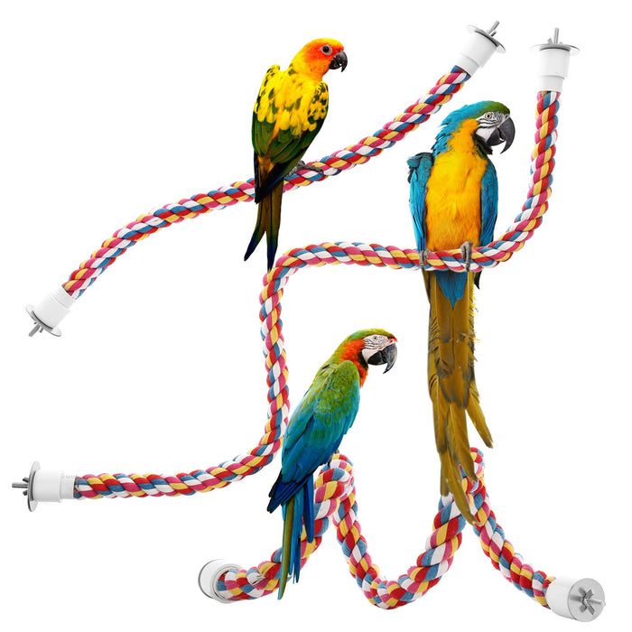Three colorful parrots perched on multicolored braided cotton rope perches with white clips
