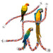 Three colorful parrots perched on multicolored braided cotton rope perches with white clips