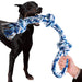 Black dog holding blue and white braided rope toy while human hand grips the other end
