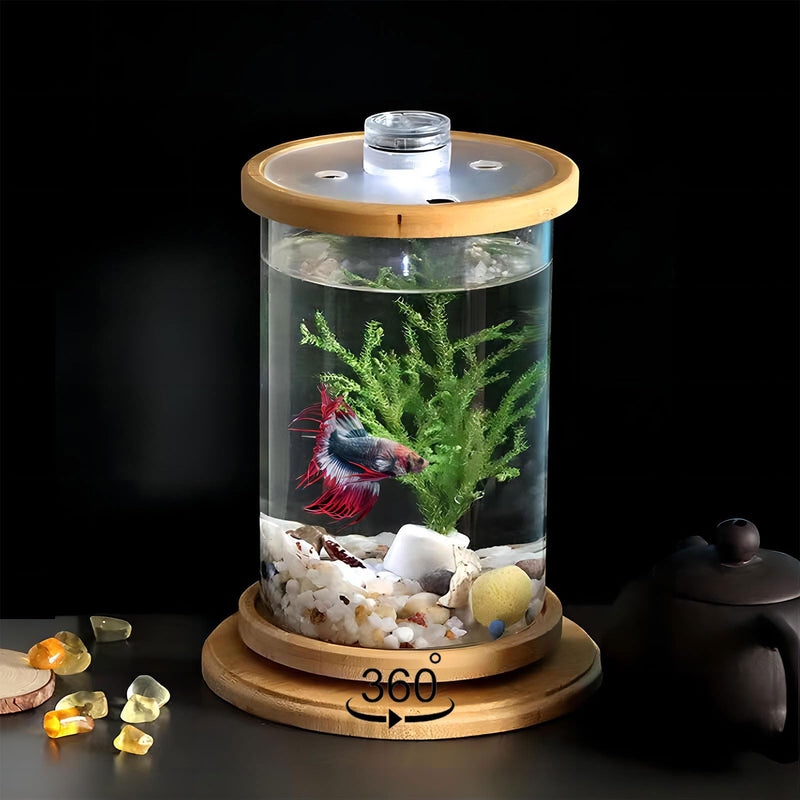 Cylindrical glass betta fish tank with bamboo lid containing red and blue betta fish with green