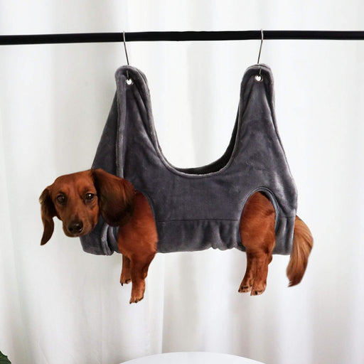 Brown dachshund dog suspended in gray coral fleece grooming hammock hanging from black rod