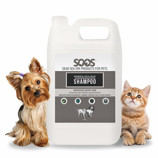 White 4L jug of SOOS Dead Sea mineral shampoo with Yorkshire Terrier and orange kitten on sides