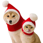 Shiba Inu dog and tabby cat wearing matching red Santa knit snood hats with white pompoms