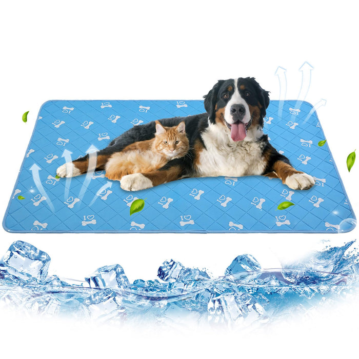 Large dog and orange cat lying together on blue cooling mat with bone pattern and ice cubes below