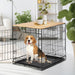 Beagle sitting inside black wire dog crate with wooden table top in modern living room