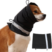 Beagle wearing black waterproof ear protection hood with reflective trim and storage pouch shown