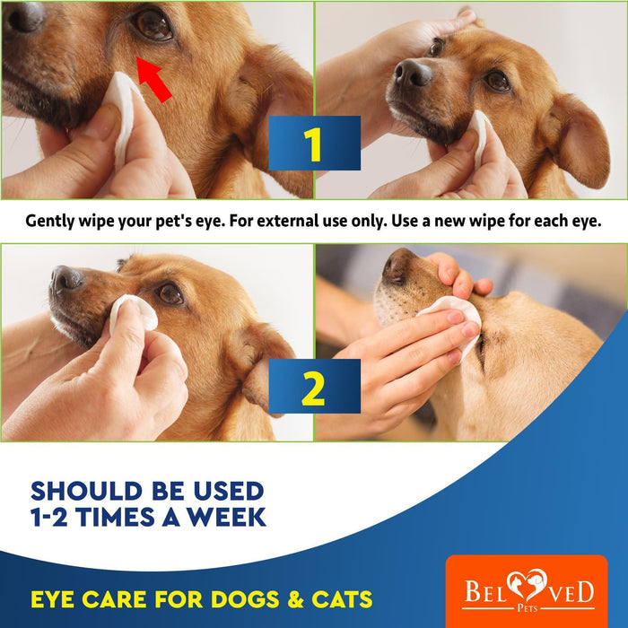 Step-by-step guide showing how to clean dog's eyes with wipes in two numbered steps