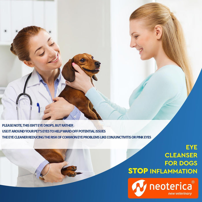 Veterinarian and pet owner smiling while examining a brown dachshund in bright clinic setting