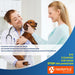 Veterinarian and pet owner smiling while examining a brown dachshund in bright clinic setting