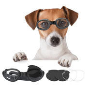 Jack Russell terrier wearing black protective goggles with detachable lens components shown below
