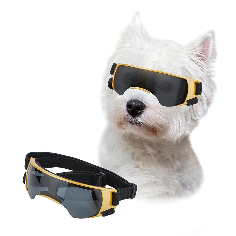 White West Highland Terrier wearing gold-framed protective sunglasses with separate goggles shown
