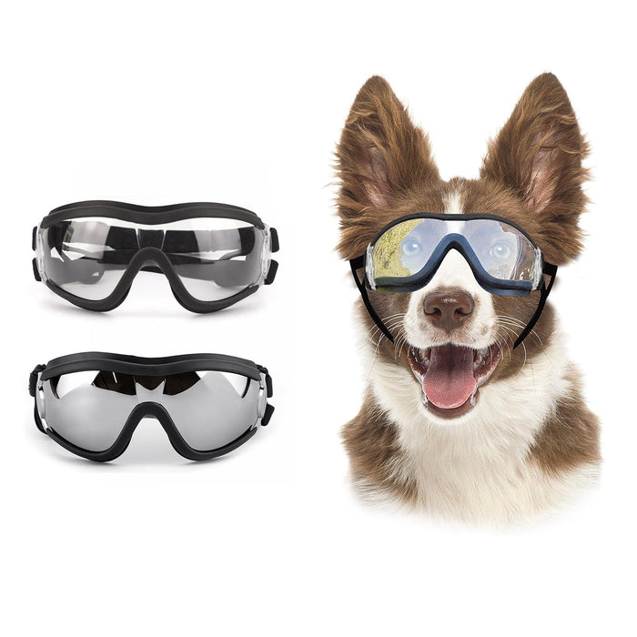 Brown and white dog wearing reflective goggles with two spare protective eyewear pairs shown