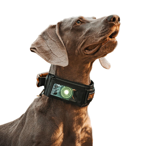 Brown dog wearing black tactical GPS collar with glowing green display, head tilted up profile view