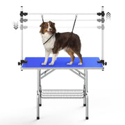 Australian Shepherd dog secured on blue grooming table with adjustable restraint system