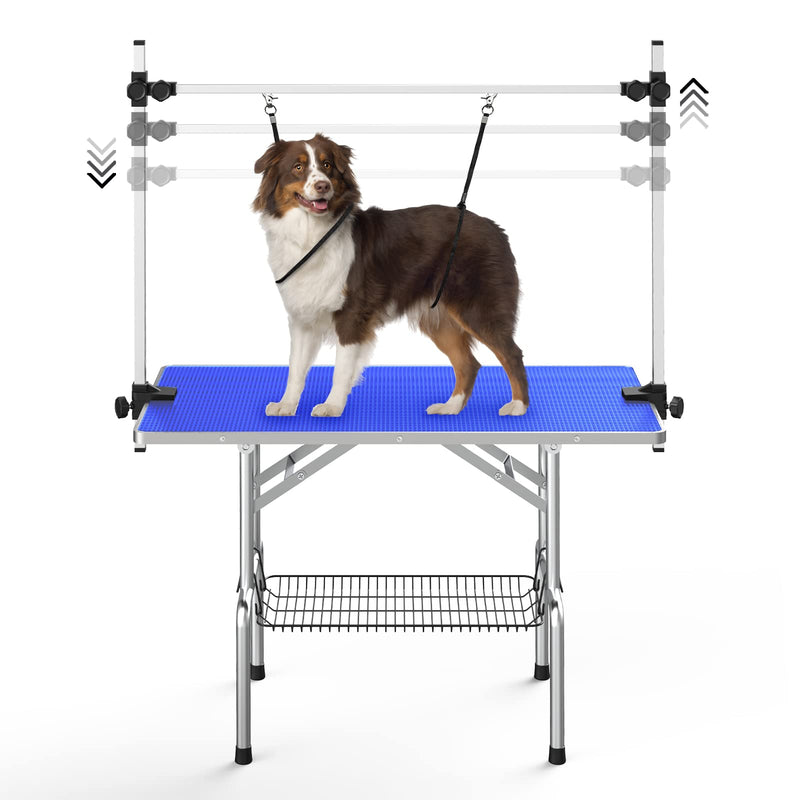 Australian Shepherd dog secured on blue grooming table with adjustable restraint system