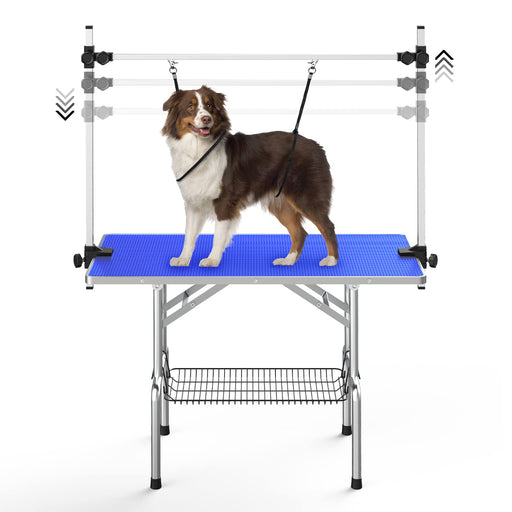 Australian Shepherd dog secured on blue grooming table with adjustable restraint system