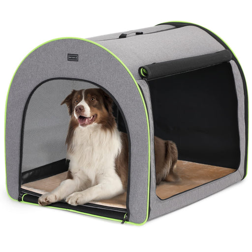Brown and white dog sitting inside gray collapsible travel crate with green trim and mesh windows