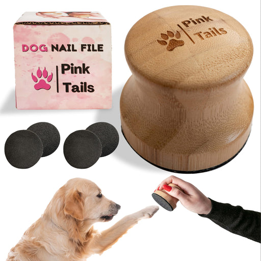 Golden retriever giving paw to human hand holding bamboo dog nail file with replacement pads