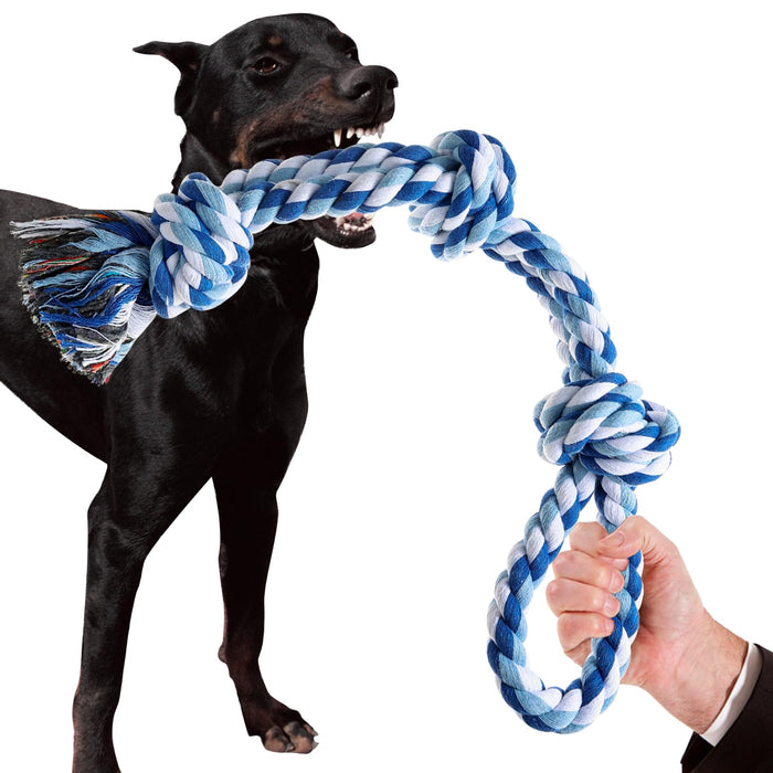 Black dog with brown markings playing tug-of-war with blue and white braided rope toy