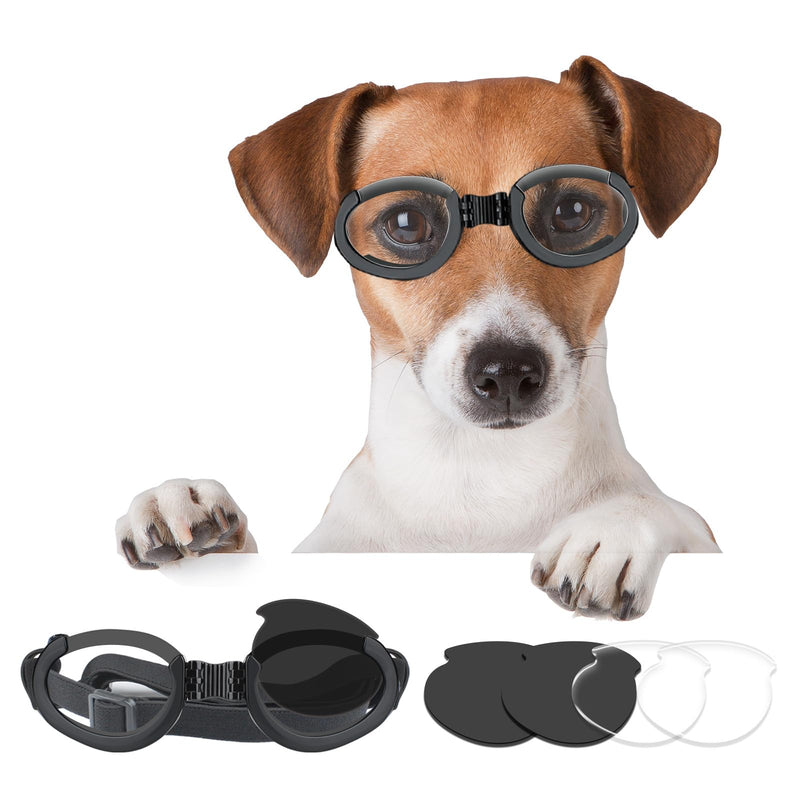Jack Russell Terrier wearing black protective goggles with interchangeable lens kit displayed below