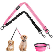 Pink and black double dog leash with two golden retriever puppies and collapsible bowl
