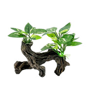 Aquarium driftwood decoration with artificial green plants growing from dark weathered wood