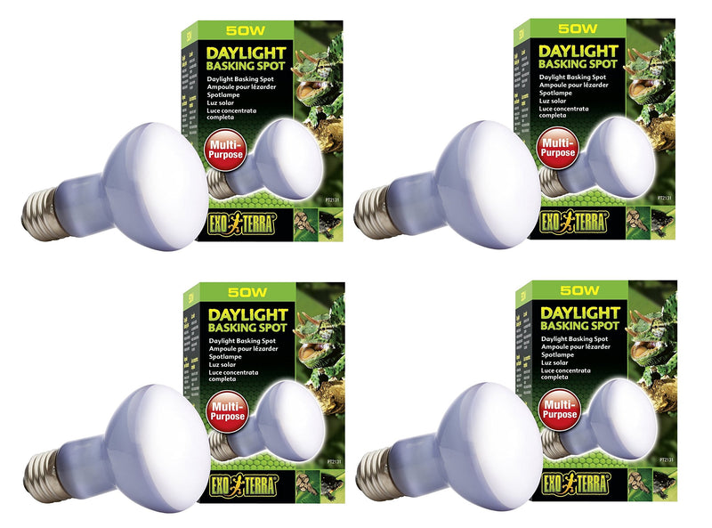 Four white Exo Terra 50W daylight basking spot bulbs displayed with green packaging boxes