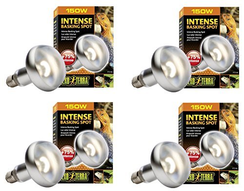 Four Exo Terra 150W intense basking spot heat lamps with silver reflector bulbs and packaging