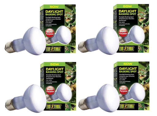 Four Exo Terra 50W daylight basking spot bulbs with purple-tinted glass and packaging boxes