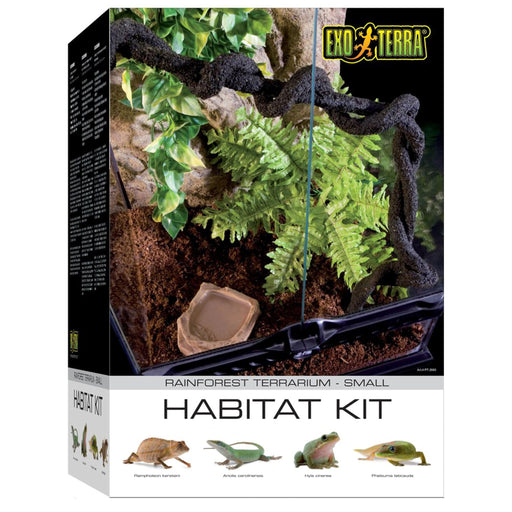 Exo Terra Rainforest Terrarium Habitat Kit box showing planted terrarium with ferns and branches