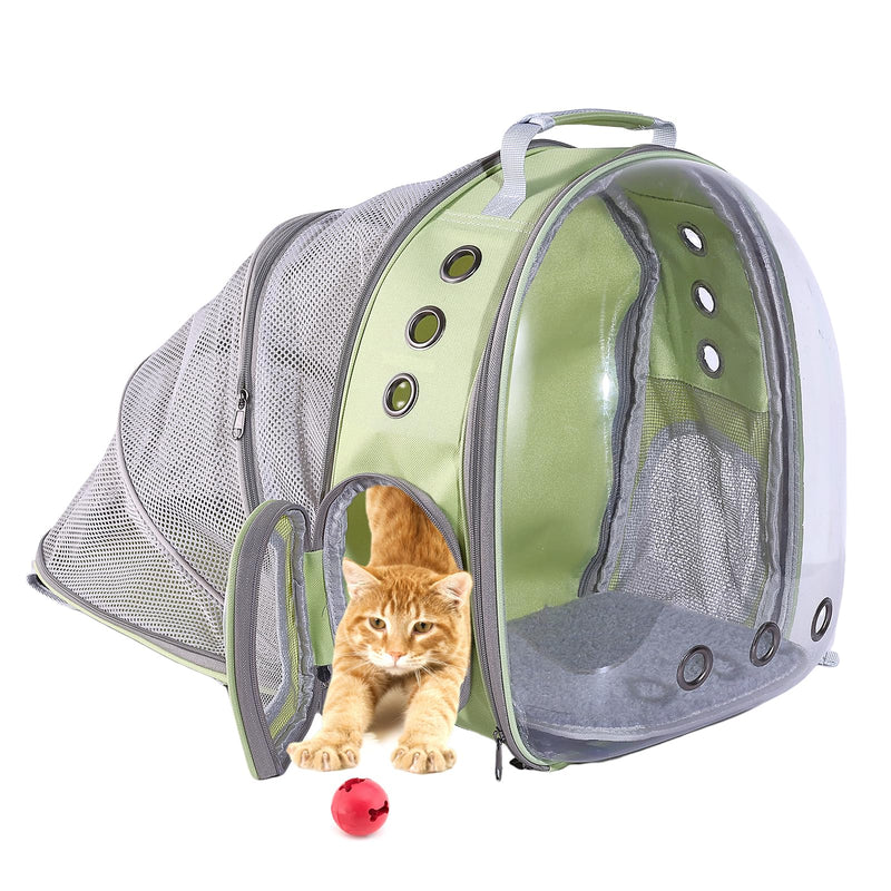 Orange kitten emerging from green expandable pet carrier backpack with clear bubble window