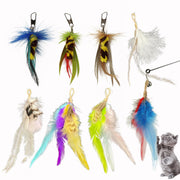 Eight colorful feather cat toy attachments with clips and one fishing rod wand plus gray kitten