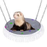 Ferret sitting on gray star-patterned hammock with white fringe suspended by metal chains