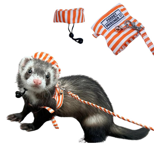 Ferret wearing orange and white striped prisoner costume harness with hat and leash set