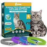 YOTANGO flea and tick collar package with gray tabby cat and four colorful collars displayed