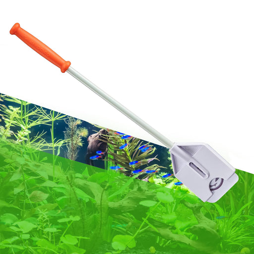 Orange-handled Flipper Platinum algae scraper cleaning aquarium glass with fish and plants visible
