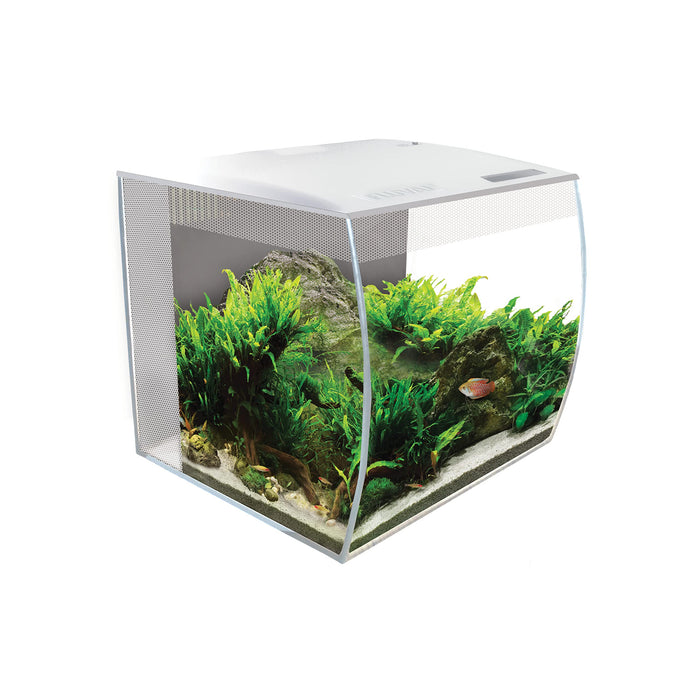 White cube-shaped Fluval Flex aquarium with lush green plants, rock formation, and tropical fish