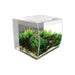 White Fluval Flex cube aquarium with lush green plants, rocks and fish in clear water