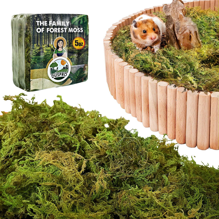 Forest moss bedding package with loose green moss and hamster in wooden corner enclosure setup