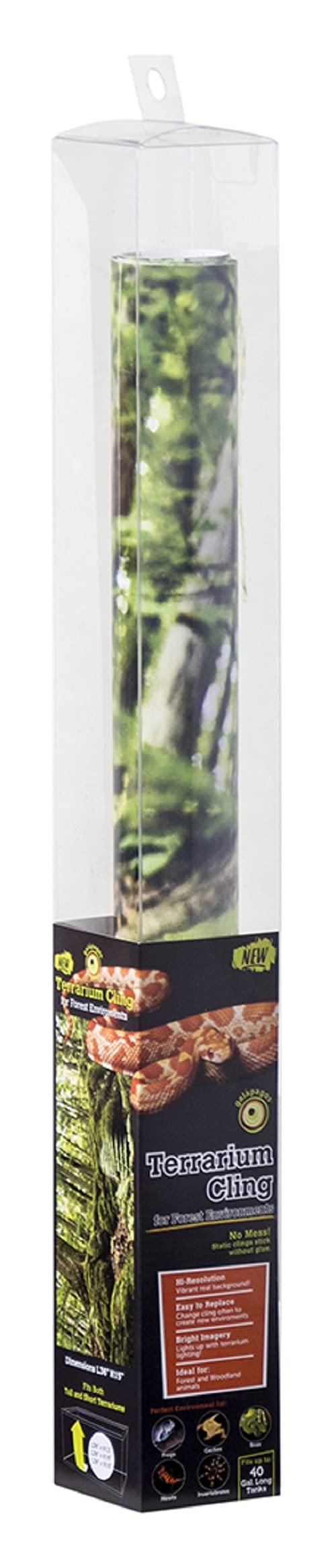 Forest terrarium background in clear plastic packaging with green foliage design visible inside