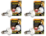 Four identical 75W intense basking spot heat lamp bulbs with EXO TERRA packaging displayed