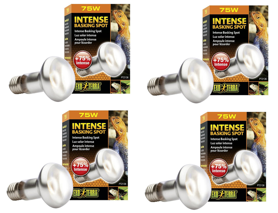 Four identical 75W intense basking spot heat lamp bulbs with EXO TERRA packaging displayed