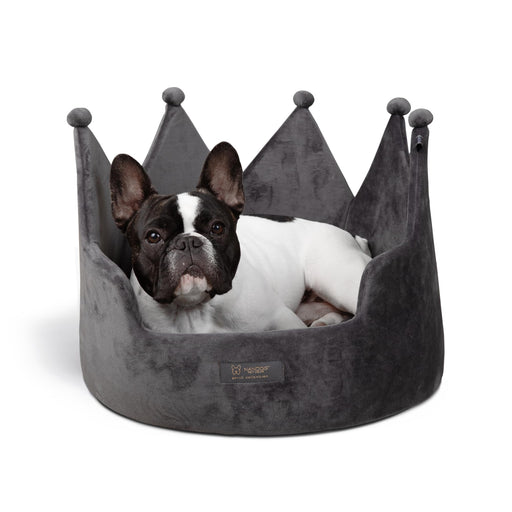 French bulldog lying comfortably inside gray velvet crown-shaped pet bed on white background