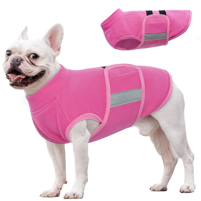 White French Bulldog wearing bright pink fleece vest with reflective strip, product view above